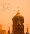 Saint Sophia Cathedral and Pigeons Royalty Free Stock Photo