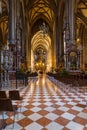 Saint Stephan cathedral interior in Vienna Austria