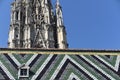 Saint Stephen Cathedral detail Vienna Royalty Free Stock Photo