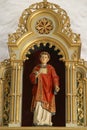 St. Stephen statue on the main altar in the church of St. Stephen the Protomartyr in Stefanje, Croatia Royalty Free Stock Photo