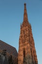 Saint Stephens Cathedral Vienna