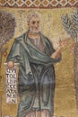 Saint Thaddaeus mosaic in the basilica of Saint Paul Outside the Walls, Rome Royalty Free Stock Photo