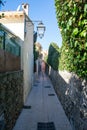 Saint Trope narrow street with plants Royalty Free Stock Photo