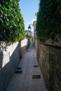 Saint Trope narrow street with plants