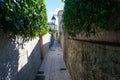 Saint Trope narrow street with plants