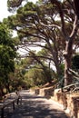 Saint-Tropez Citadel path French Riviera