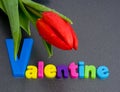 Saint Valentine's day.