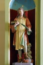 Saint Vitus, statue on the altar of Saint Anthony the Hermit in the church of Saint Nicholas in Donja Zelina, Croatia