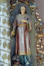 Saint Vitus, statue on the altar of Saint Anthony the Hermit in the church of Saint Peter in Petrovina, Croatia