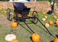 Citrouilleville (Pumpkinville) Horse buggy