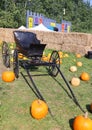 Citrouilleville (Pumpkinville) Horse buggy