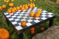 Saint-Zotique, Quebec, Canada, October 24th, 2021 : a checkers game with pumpkins