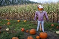 Saint-Zotique, Quebec, Canada, October 24th, 2021 : a scarecrow