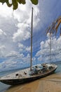 Sainte-Anne, Martinique - Abandoned beached sailboat in Pointe Marin beach