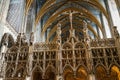 Sainte-Cecile cathedral architecture details at Albi