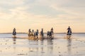 Riders running Camargue horses through water at sunrise Royalty Free Stock Photo