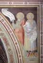 Saints, fresco in Basilica di Santa Croce in Florence