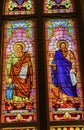 Saints Luke Stained Glass San Fernando Cathedral San Antonio Texas Royalty Free Stock Photo