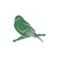 Saira Amarela bird vector illustration. Saira Amarela bird logo design concept template. Creative symbol