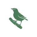 Saira Amarela bird vector illustration. Saira Amarela bird logo design concept template. Creative symbol