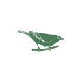 Saira Amarela bird vector illustration. Saira Amarela bird logo design concept template. Creative symbol