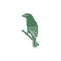 Saira Amarela bird vector illustration. Saira Amarela bird logo design concept template. Creative symbol