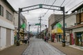 Commerciasl stores at Mizuki road in Sakaiminato, Japan.