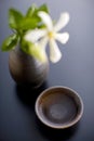 Sake cup and bottle Royalty Free Stock Photo