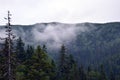 Sakhalin fogy mountains