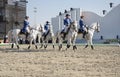 Sakhir, Bahrain Nov 26: Lipizzaner Stallions show Royalty Free Stock Photo