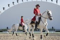 Sakhir, Bahrain Nov 26: Lipizzaner Stallions show Royalty Free Stock Photo