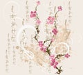 Sakura Royalty Free Stock Photo