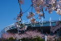 Sakura and Ajinomoto Stadium Royalty Free Stock Photo