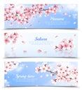Sakura Banners Set Royalty Free Stock Photo