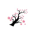 Sakura Beauty flower Vector icon illustration design Royalty Free Stock Photo