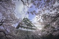 Sakura blooming in spring at Nagoya Castle.Nagoya Castle built in 1610