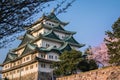 Sakura blooming in spring at Nagoya Castle.Nagoya Castle built in 1610 Royalty Free Stock Photo