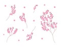 Sakura blossom branches isolated set. Vector collection of blooming Sakura flowers. Design floral elements on white backround Royalty Free Stock Photo