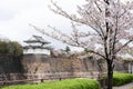 Sakura blossom with Osaka castle fortress in background Royalty Free Stock Photo