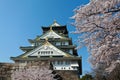 Sakura blossom at Osaka Castle Royalty Free Stock Photo