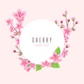 Sakura blossom. Peach cherry flowers, pink floral banner template. Cute female postcard, mother day vector background Royalty Free Stock Photo