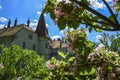 Sakura blossoms against the background of Hunting castle of Count Shenborn in Carpaty Village Chinadiyevo Royalty Free Stock Photo