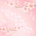 Sakura blossoms. Branch of sakura with flowers. Cherry blossom branch on pink color. Vector Royalty Free Stock Photo