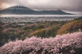 Sakura blossoms in japanese style ornamental garden, beautiful landscape. Generative AI Royalty Free Stock Photo