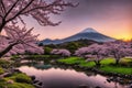 Sakura blossoms in japanese style ornamental garden, beautiful landscape. Generative AI Royalty Free Stock Photo