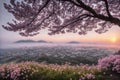 Sakura blossoms in japanese style ornamental garden, beautiful landscape. Generative AI Royalty Free Stock Photo