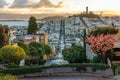 Sakura blossoms on Lombard Street. San Francisco is in early morning light Royalty Free Stock Photo