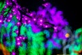 Sakura branch. Abstract background with bubble bokeh defocused lights. Royalty Free Stock Photo