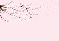 Sakura. A branch of cherry with white flowers in the wind loses petals. Isolated on a pink background. illustration