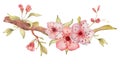 Sakura branch with flowers watercolor illustration. Blossom petal bouquet